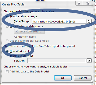 Pivot Table Image _Edit