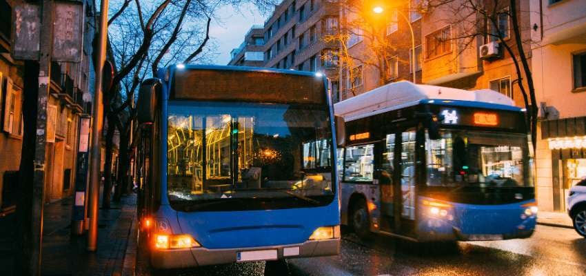 commercial buses