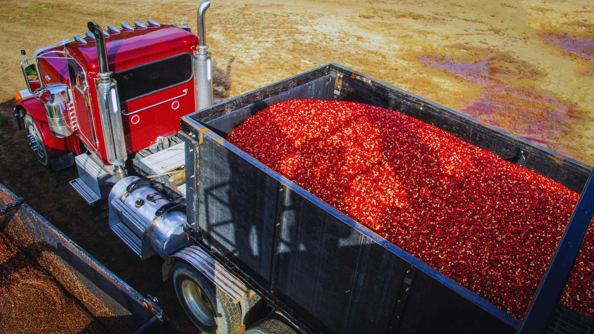 semi-truck-hauling-agricultural-products_1920x1080
